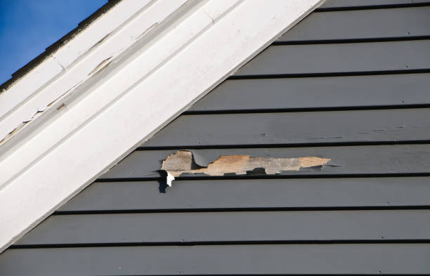 Best Hoarding Cleanup  in Robesonia, PA
